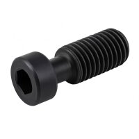 1008-M2,5x7 - Torx Screw