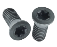 3006-M2x4 - Screw